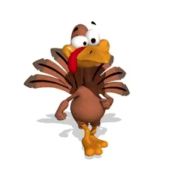 Walking Turkey – Video Post